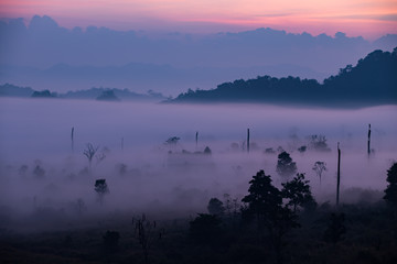 Fog mountain in the early morning sunrise