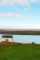 Fototapeta na wymiar Islanda: il paesaggio di Egilsstadir sulle sponde del fiume Lagarfljot il 29 agosto 2012. Egilsstadir è la più grande città dell'Islanda orientale