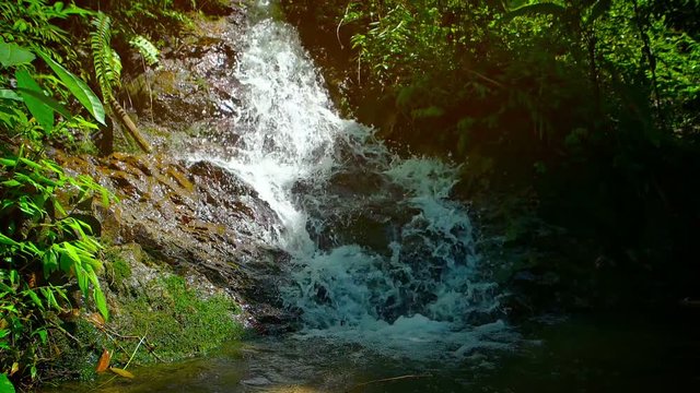 Water splashes and sprays as it tumbles down the rocky course of a natural waterfall in a tropical wilderness area, with wildlife sounds in the background. Video 1920x1080