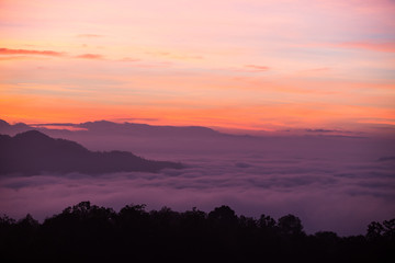 Fototapeta premium Fog mountain in the early morning sunrise