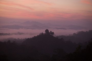 Fog mountain in the early morning sunrise