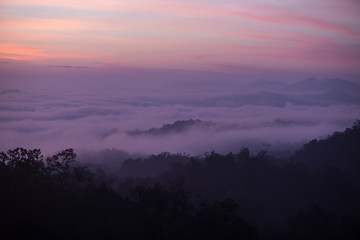 Fog mountain in the early morning sunrise