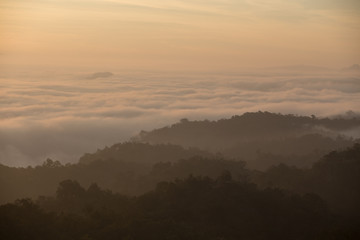 Fog mountain in the early morning sunrise