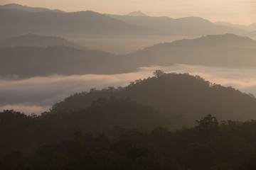 Fog mountain in the early morning sunrise