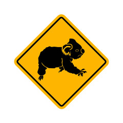 koala - aschgrauer beutelbär © ulff