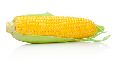 Ear of corn isolated on a white background