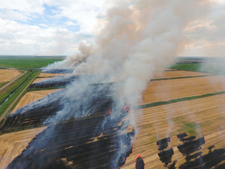 Burning straw in the fields of wheat after harvesting
