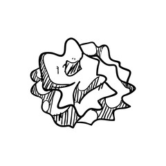 Instrument concept represented by wrinkled paper icon. Isolated and sketch illustration.