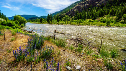 Fototapeta na wymiar The Nicola River as it flows to the Fraser River along Highway 8 from the town of Merritt to the Fraser River at the town of Spences Bridge in British Columbia, Canada