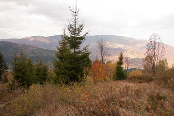 Beskidy jesienią, Skrzyczne © Kana