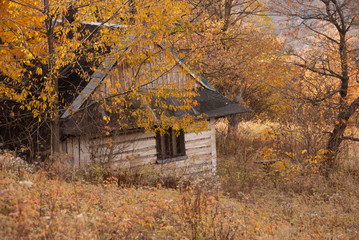 Beskidy jesienią, Skrzyczne © Kana