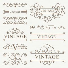 ornament vintage design