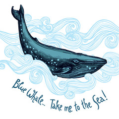 Fototapeta premium Cute Illustration With Blue Whale