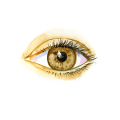 Watercolor artwork of eye. Hand drawn illustration