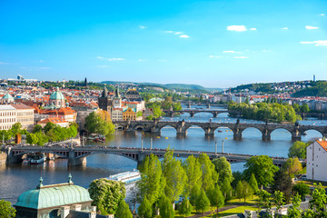 Fototapeta na wymiar View of Prague from Letna Park