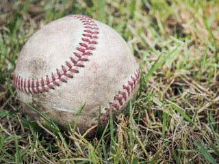 Nostalgic baseball in the grass on a baseball field, Selective focus and close up