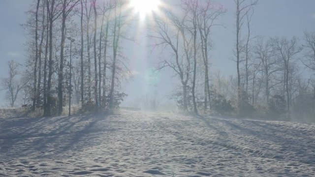 Kraljevica park hill under snow on early morning 4K 2160p UHD footage - Hills and forest near town of Zajecar covered with snow 4K 3840X2160 UHD video 