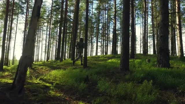 Young Female Walking among trees in  forest. Slow motion footage. Amazing sun