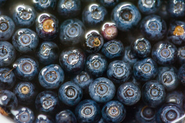 blueberry