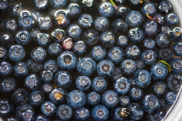 blueberry