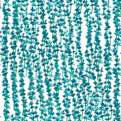 Watercolor seamless pattern with herbs of Provence. lavender
