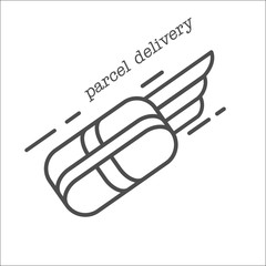 Mail. Fast delivery of parcels. The delivery of goods. Vector icon