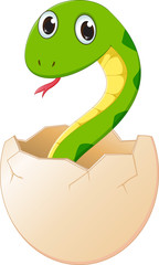 cute cartoon  snake hatching