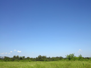 Fototapeta na wymiar green field and blue sky with light clouds