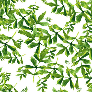 Watercolor seamless pattern with herbs and leaves.