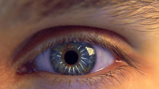 The man's eyes reflect the moving light rays. Eye iris and pupil macro