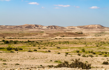 Makhtesh Gadol, Negev desert in the early spring, Israel