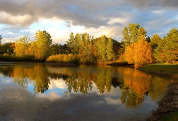 arbres d'automne et plan d'eau