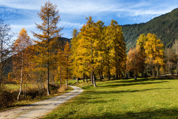 Idyllic mountain scenery in the Alps with hiking trail. Mieminger plateau, Austria, Tyrol.