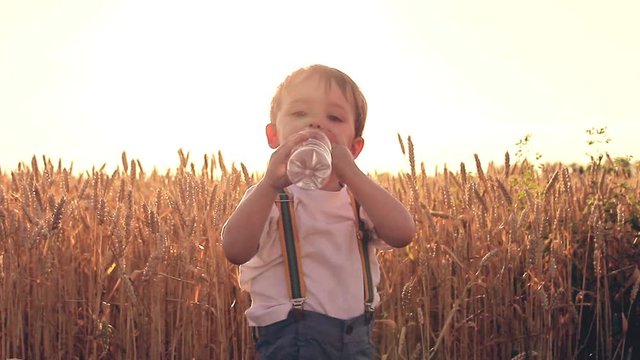 Child boy drinks water from a bottle in a wheat field