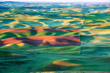 Fototapeta na wymiar Light and shadows on the rolling hills of the Palouse