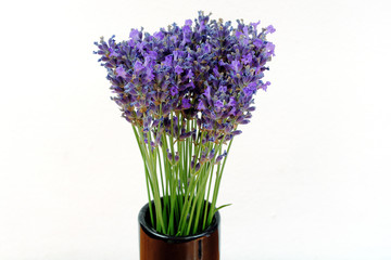 Lavender in a black vase