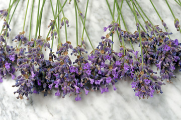 Lavender lying on a marble table
