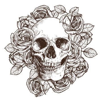 Skull And Roses. Hand Drawn Illustration