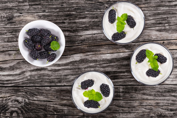 fresh homemade yogurt with mulberry and mint in cups