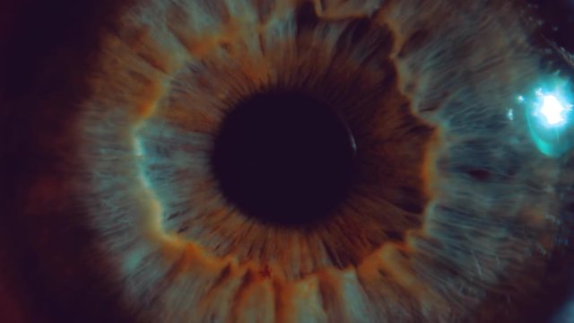 Eye iris and pupil macro . Many color correction options