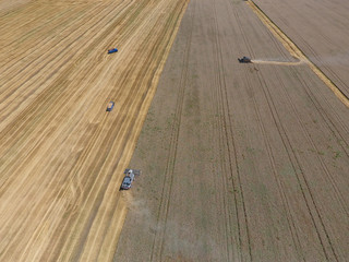 Obraz premium Harvesting wheat harvester