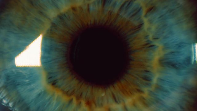 Eye iris and pupil macro . Many color correction options