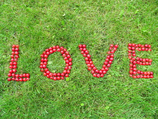 Słowo "LOVE" z czerwonych, dojrzałych wiśni na zielonej trawie