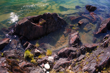Tidepool