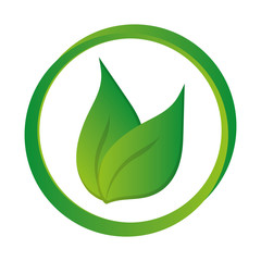 green leaves leaf nature isolated vector illustration