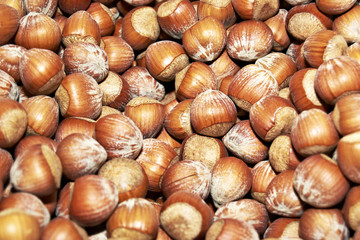 Close-up of hazelnuts