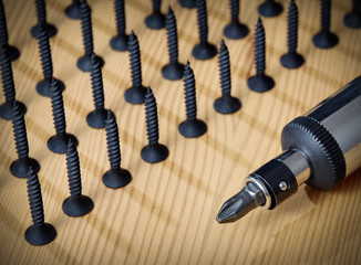Phillips screwdriver amongst the many screws