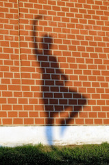 Girl's shadow on a red brick wall