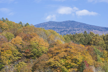 中吾妻山の紅葉
