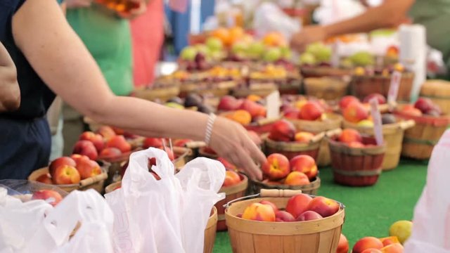 Organic fruits from the local farm at the Summer Farmers Market